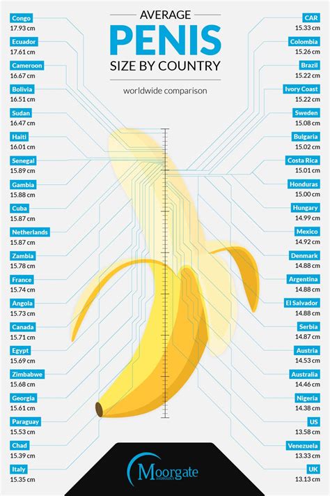 Average Size Penis Pictures